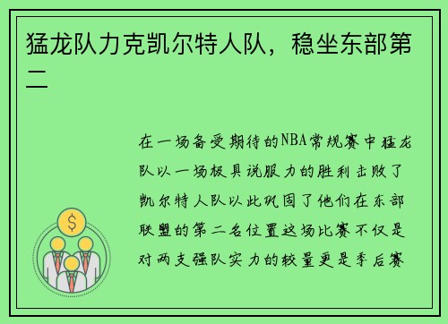 猛龙队力克凯尔特人队，稳坐东部第二